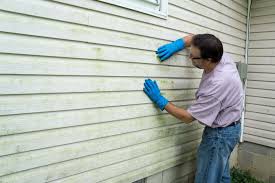 Best Siding Removal and Disposal  in Mendota, IL